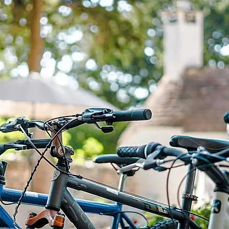 Ad Un Passo Da Cisternino - Trulli Con Foresta, Bici E Bbq Hotel